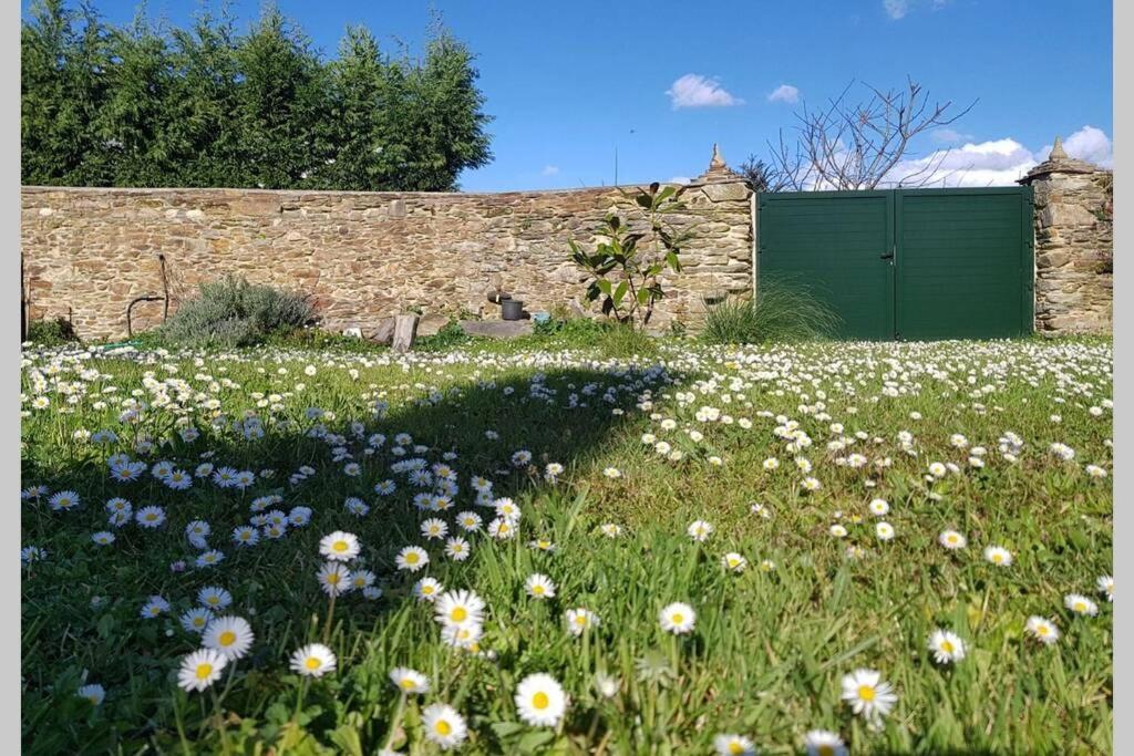 Estudio Pajar Rural Con Bonito Jardin - Los Gayoles Rural Castropol Zewnętrze zdjęcie